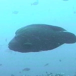 photo-03.jpg