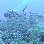 photo-08.jpg