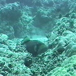 photo-12.jpg