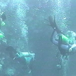 photo-16.jpg