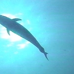 photo-18.jpg