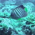 photo-19.jpg