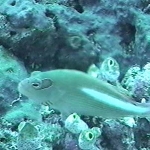 photo-21.jpg
