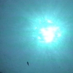 photo-22.jpg