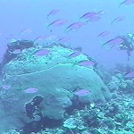 photo-24.jpg