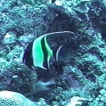 photo-27.jpg