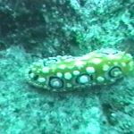 photo-29.jpg