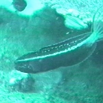 photo-30.jpg