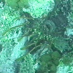 photo-32.jpg