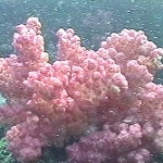 photo-35.jpg
