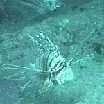 photo-36.jpg