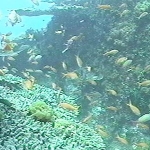 photo-37.jpg