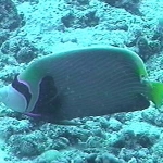 photo-38.jpg